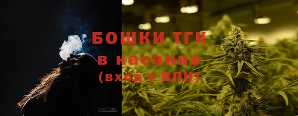 прущие грибы Арсеньев